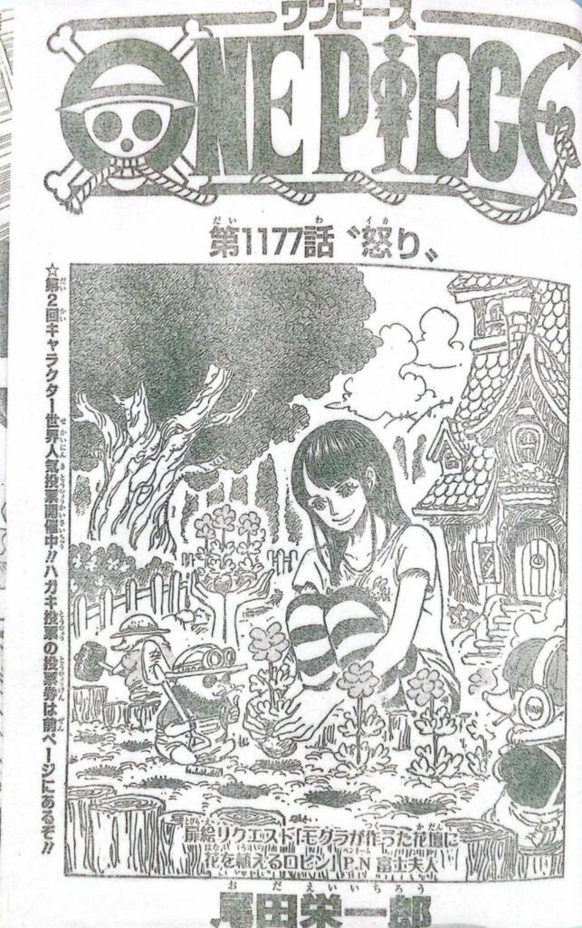 ワンピース Raw ( One Piece Raw ) 第1177話